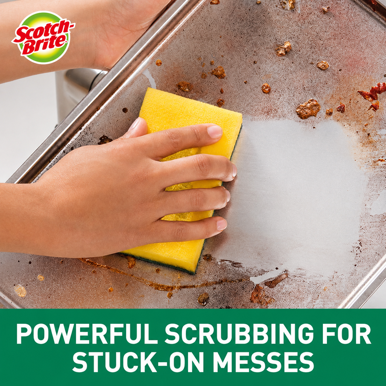 3M SCOTCH-BRITE Thailand Scouring Pad + Sponge Scrub Sponge