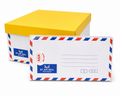 Air Mail White Envelope without Window 4" x 9" 20pcs