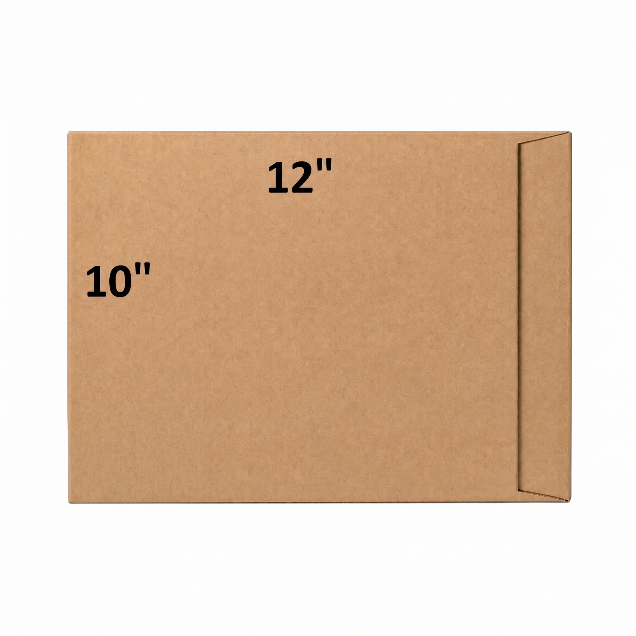 Brown Envelope without Window 10" x 12" 10pcs