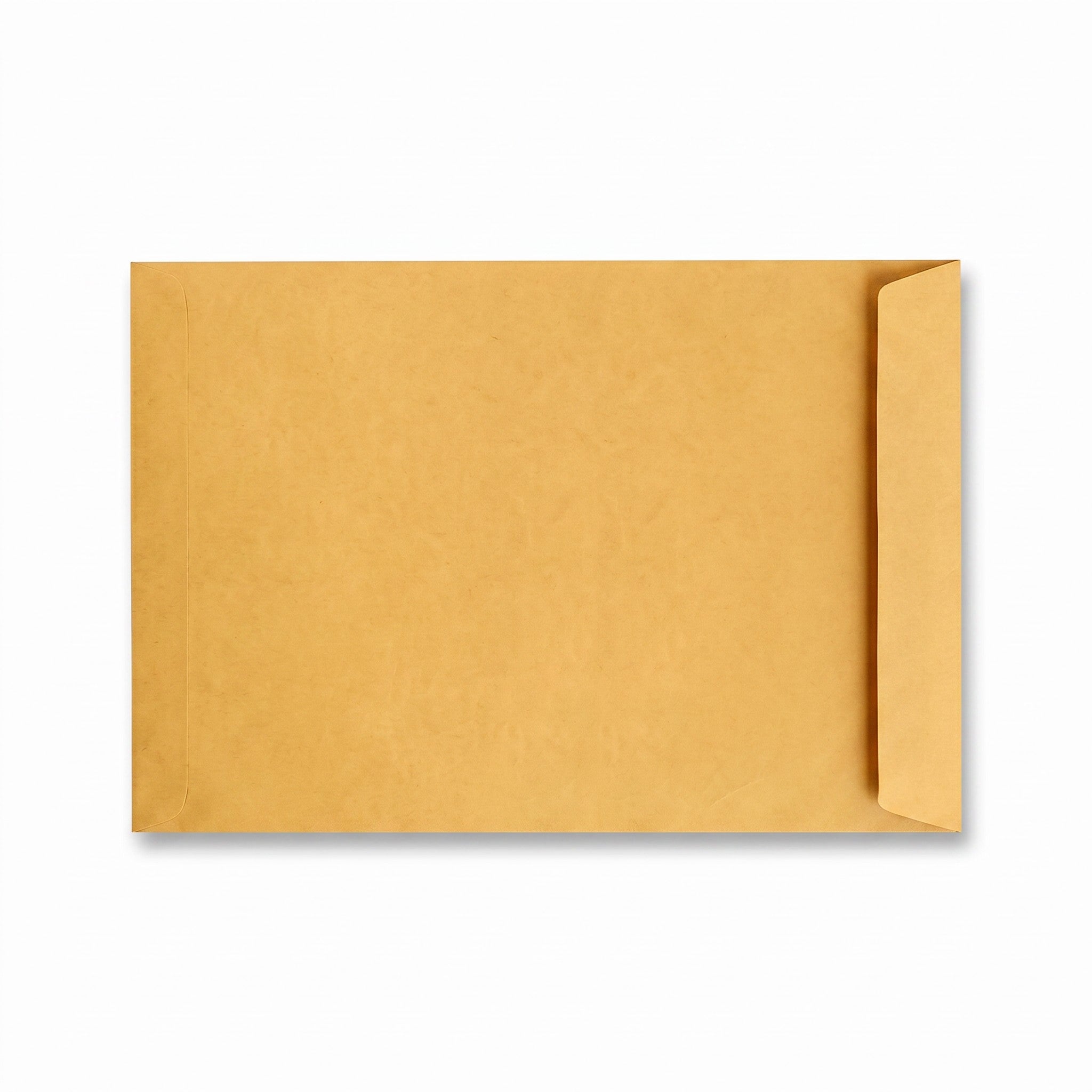 Brown Envelope without Window 12" x 16" 10pcs